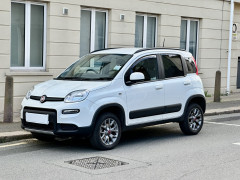 Panda 4X4  1.0 'Wild'